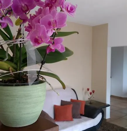 Apartment Mit Gartenblick Forchheim (Bavaria)